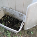How To: DIY a cheap and easy compost bin