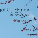 Legal Guidance for Bloggers from Sara Hawkins