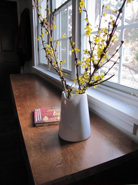 Spring Forsythia Branches | The Borrowed Abode