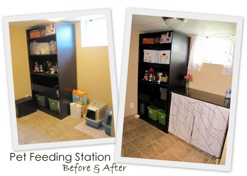 Pet Feeding Station Ideas - Photos & Ideas