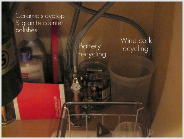 http://theborrowedabode.com/wp-content/uploads/2010/12/Kitchen-Sink-Organization.jpg