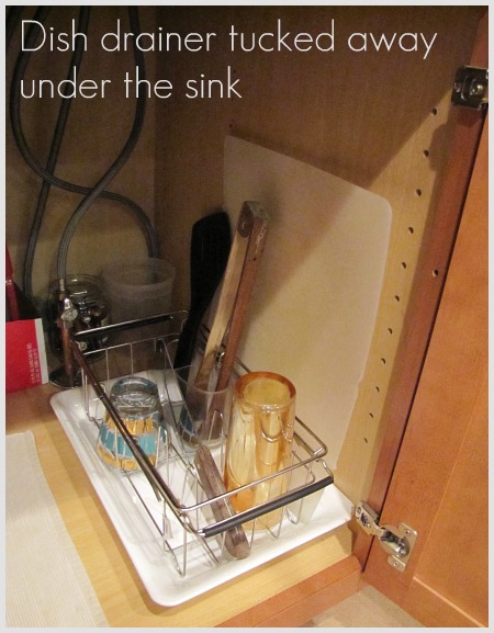 Dish rack best sale under sink