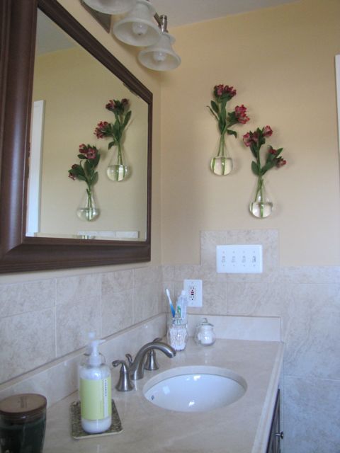 http://theborrowedabode.com/wp-content/uploads/2011/02/Bathroom-Glass-Hanging-Vases3.jpg