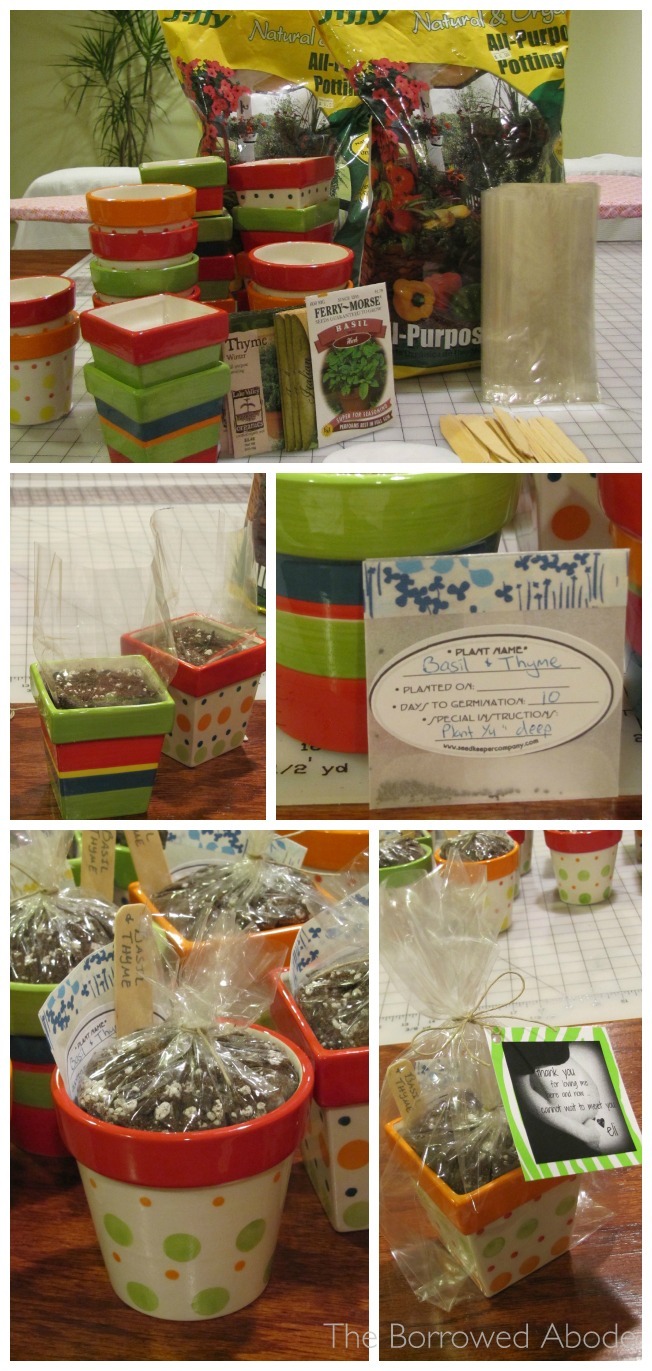 DIY Mini Herb Kit Party Favors | TheBorrowedAbode.com