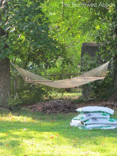 Remaining Brush Backyard Hammock