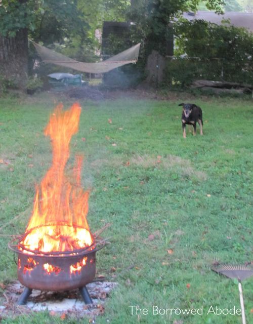 Burning Brush Firepit Backyard