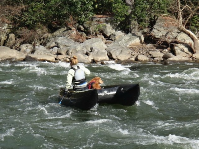 Woman Whitewater Kayak Dog | TheBorrowedAbode.com