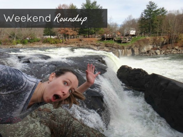 Weekend Roundup Nov 2012 | TheBorrowedAbode.com