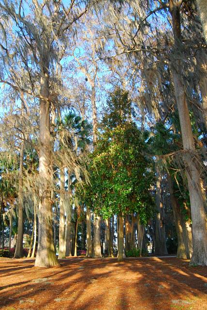 Kraft Azalea Garden Winter Park FL03