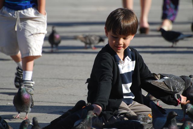 Feeding Pigeons in St. Mark Square Venice | The Borrowed Abode