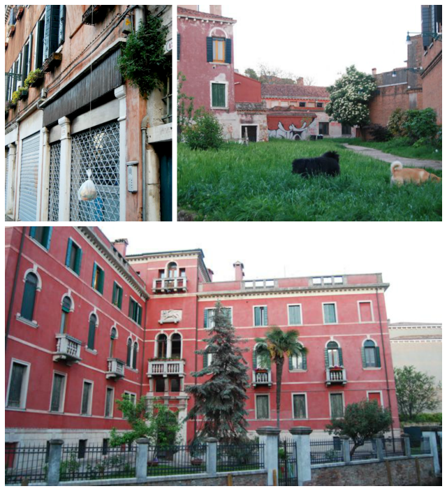 Venice Dorsoduro Neighborhood | The Borrowed Abode