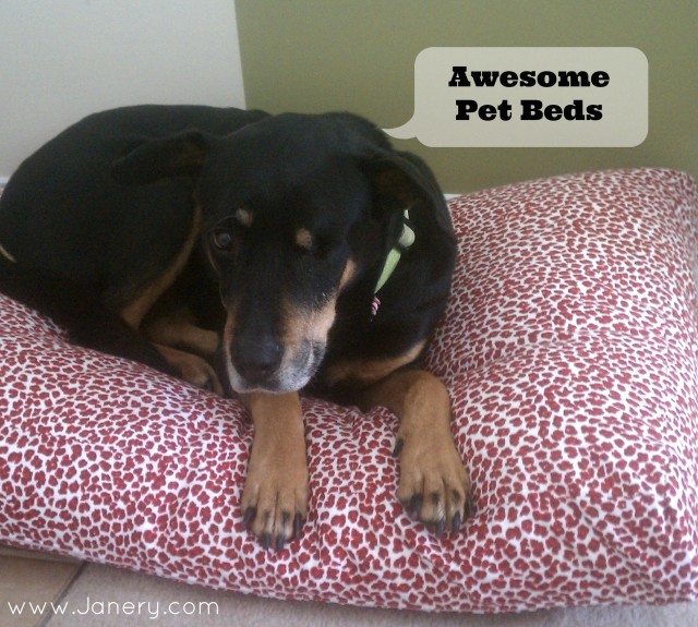 Charlie Cushions Mascot Dog Bed