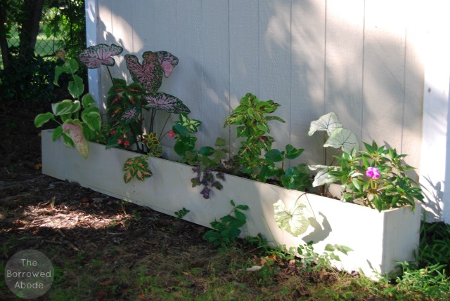 Long Planter Boxes2