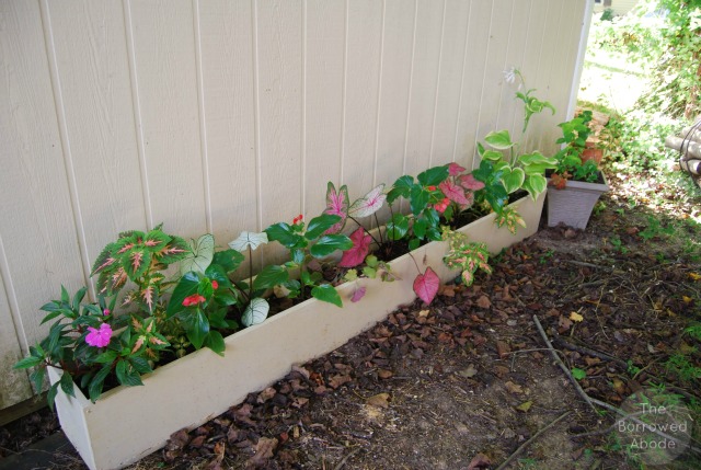 Long Planter Boxes3