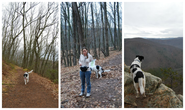 Hiking with Dogs