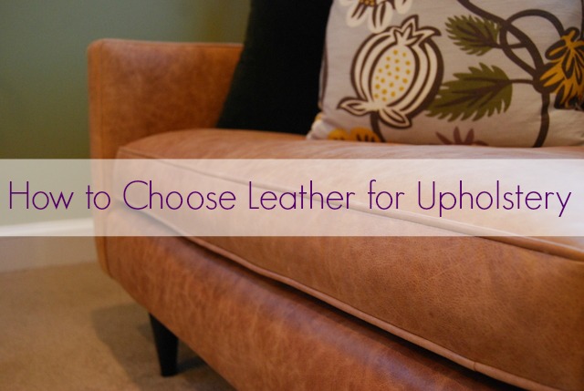 Pet-Proofing Furniture: Comfort Works Leather Sofa Cover - The Borrowed  AbodeThe Borrowed Abode