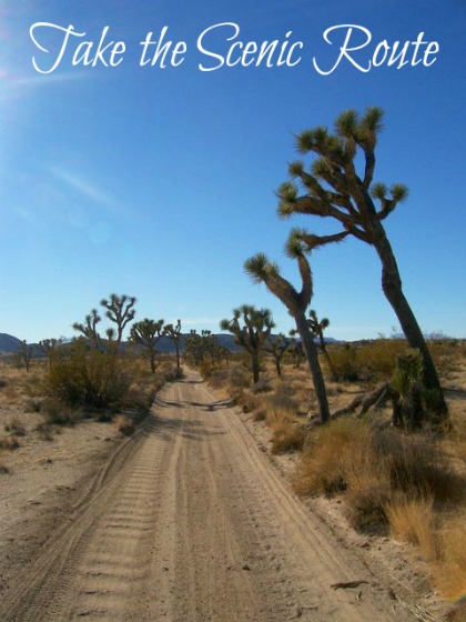 Joshua Tree National Park California