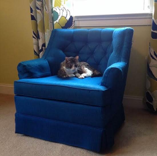 Vintage Swivel Chair Royal Blue