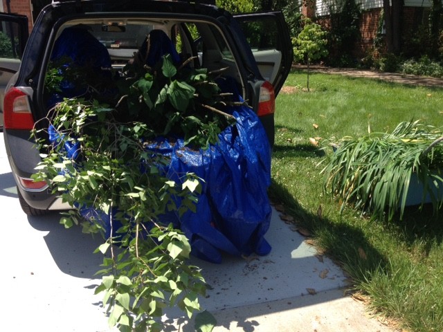 Scavenged Garden Trunk Load Trees