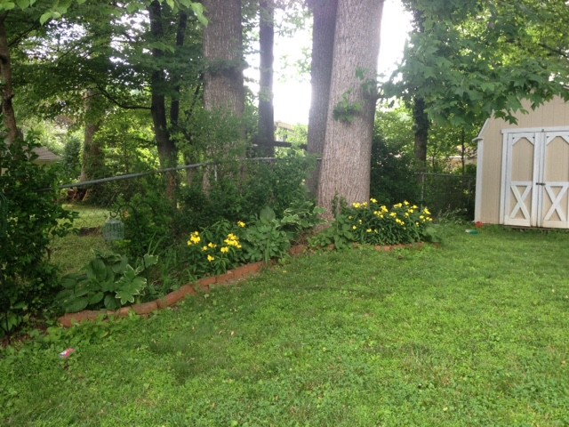 Scavenged Rental Friendly Garden Shade Garden