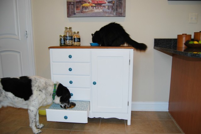 Pet feeding and storage station