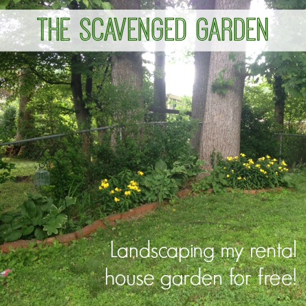 Scavenged Garden Title Image