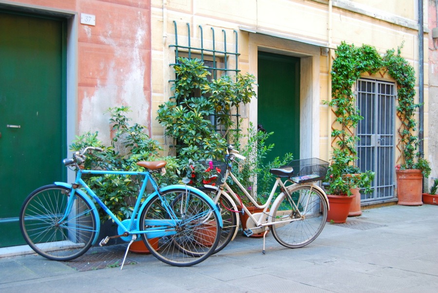 2016 Italy Levanto Cinque Terre Bikes Doorways