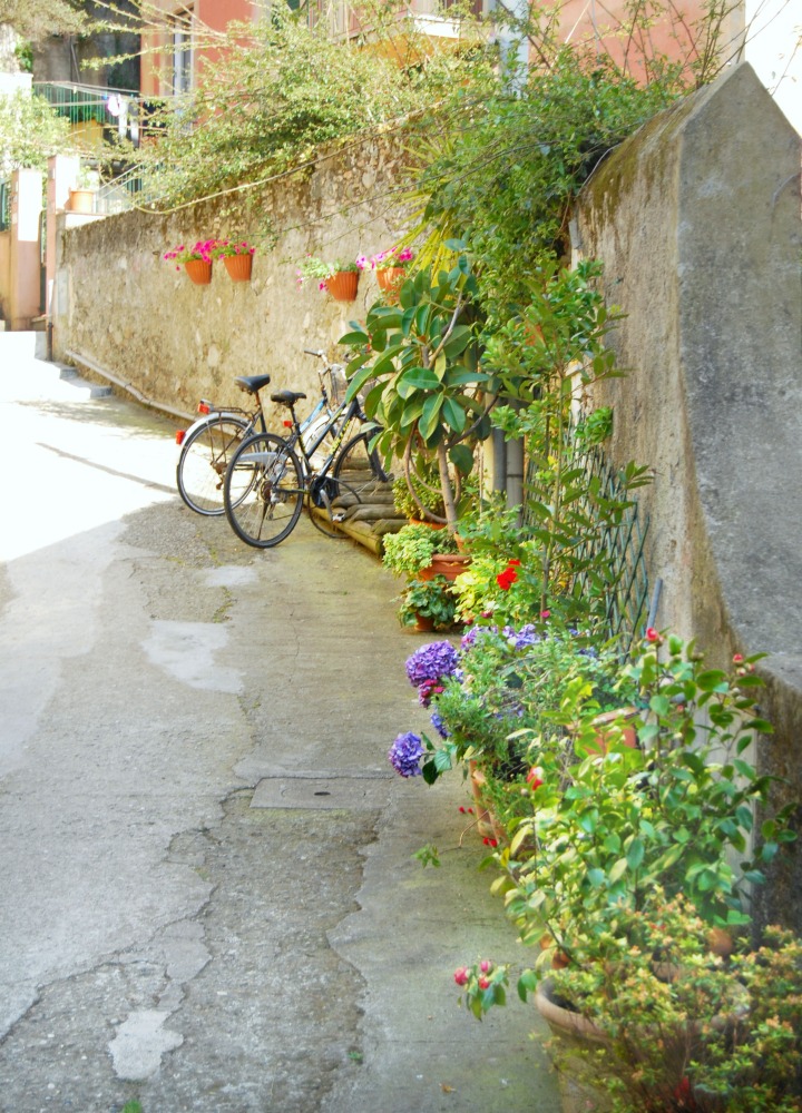 2016 Italy Bonassola Cinque Terre Liguria Bicycles Flowers