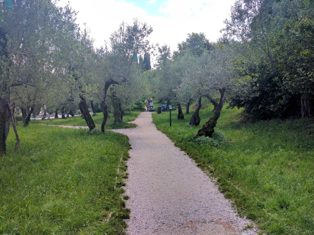 Italy Garda Sirmione Parco Pubblico Tomelleri Olive Grove 1000px