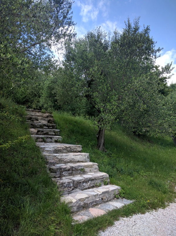Italy Garda Sirmione Parco Pubblico Tomelleri Olive Grove Steps 1000px